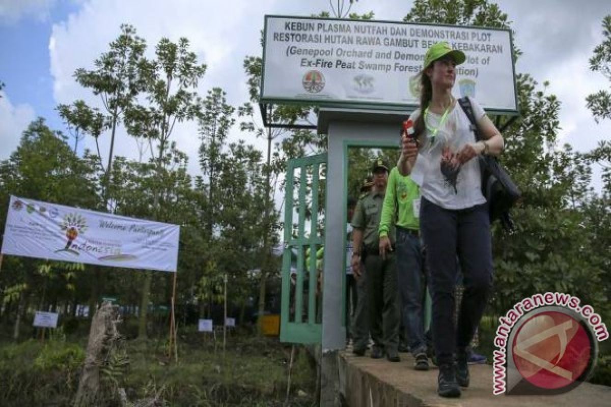 "Green South Sumatera" butuh peran multipihak 