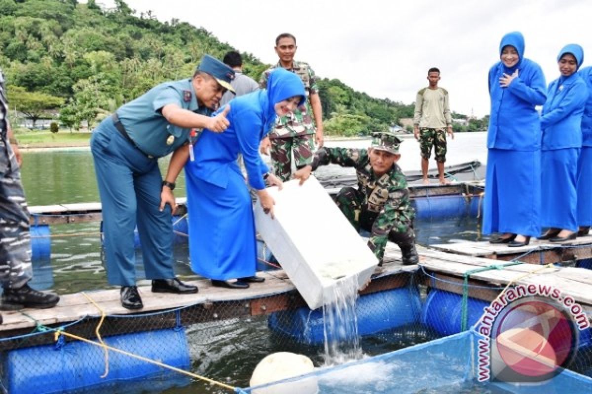 Danlantamal IX/Ambon Tebar Benih Kakap Putih