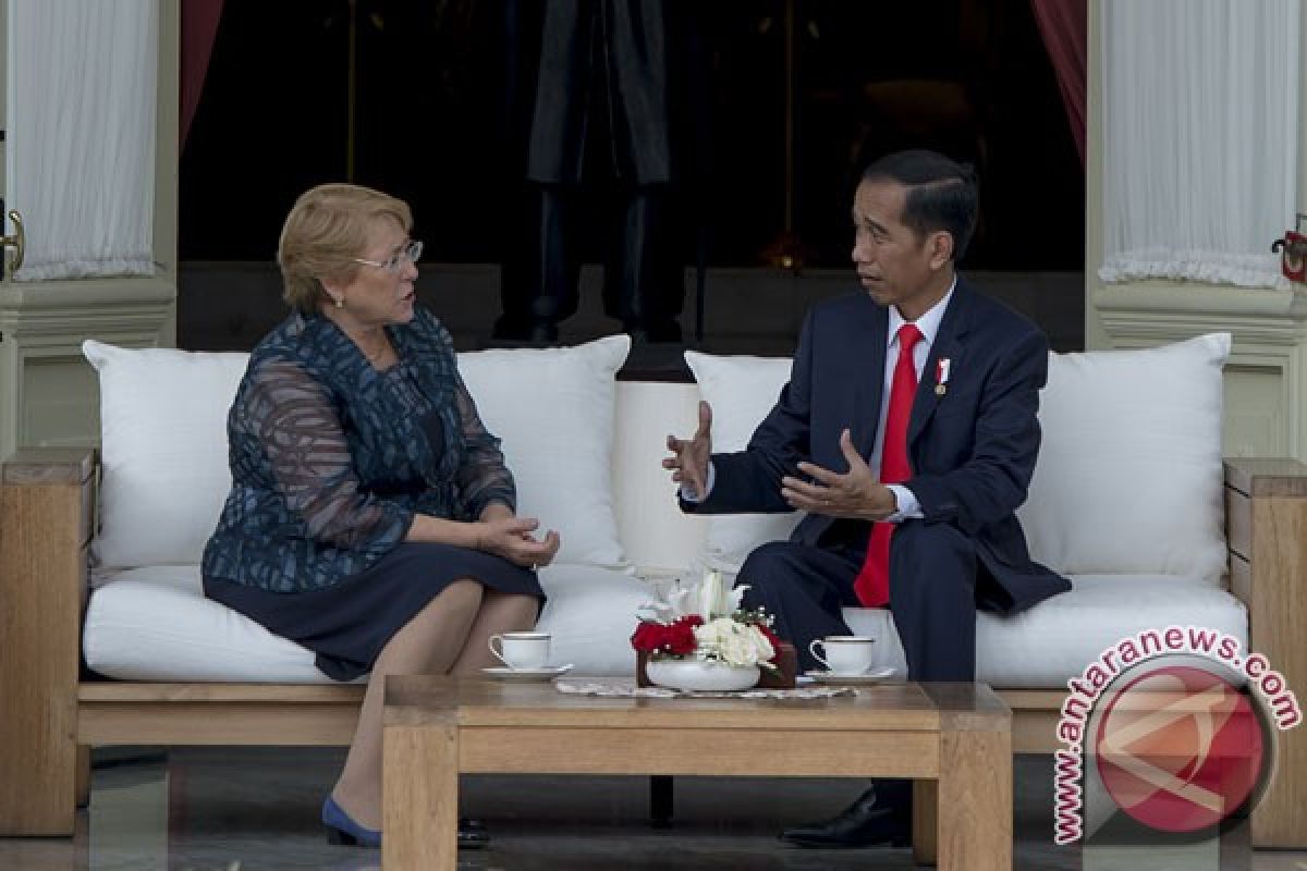 Chile supports Indonesia`s bid for UN Security Council seat