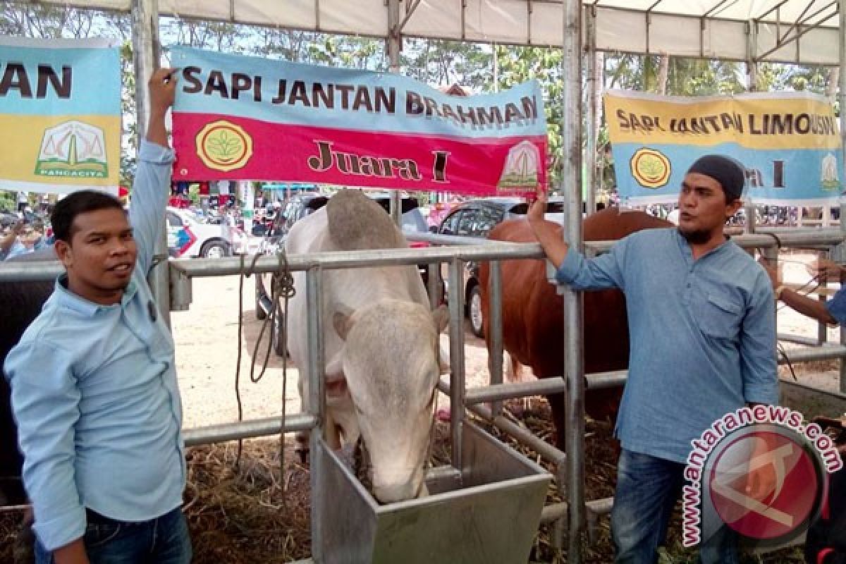 Ternak besar Aceh Barat raih juara Penas