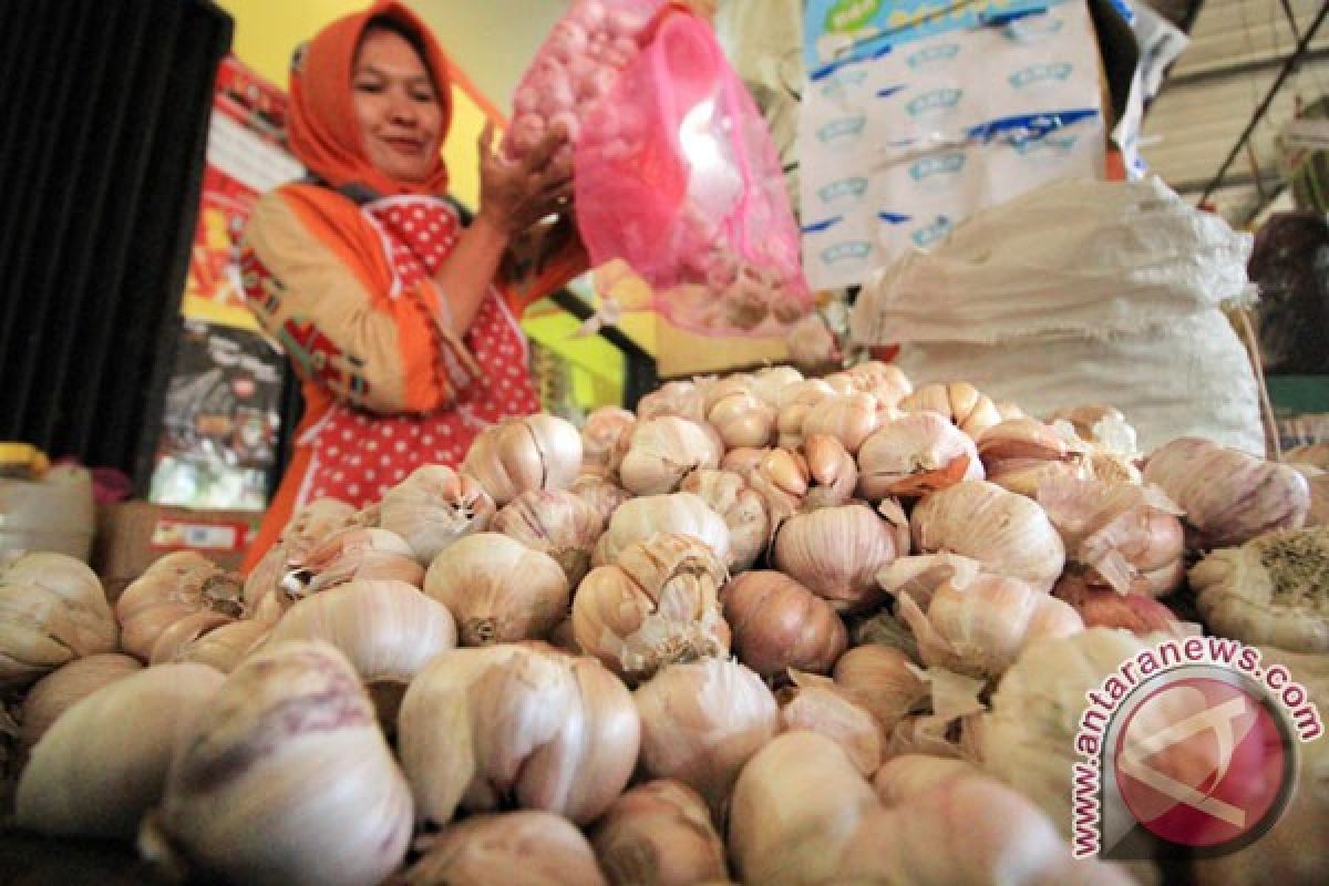 Harga bawang putih Tana Tidung Kaltara Rp60.000/kg