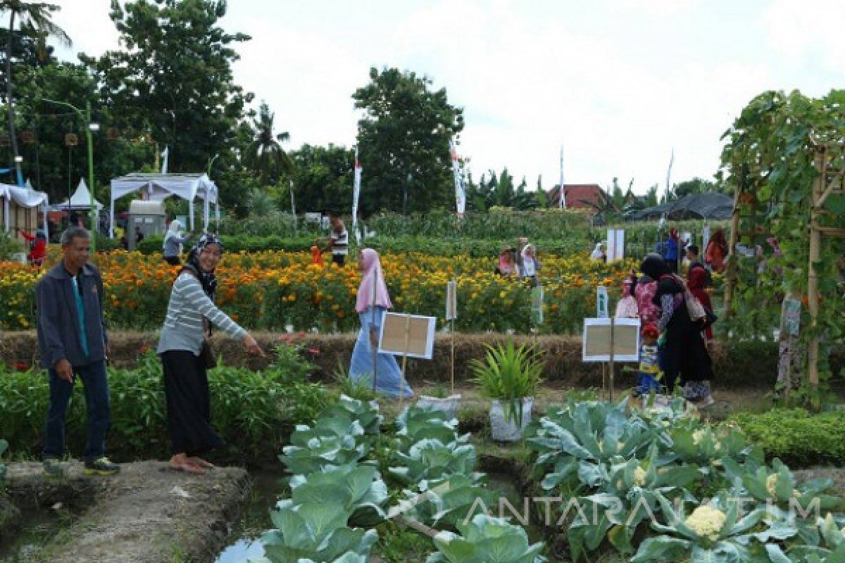 Agro Expo Banyuwangi Tampilkan Komoditas Pertanian Unggulan