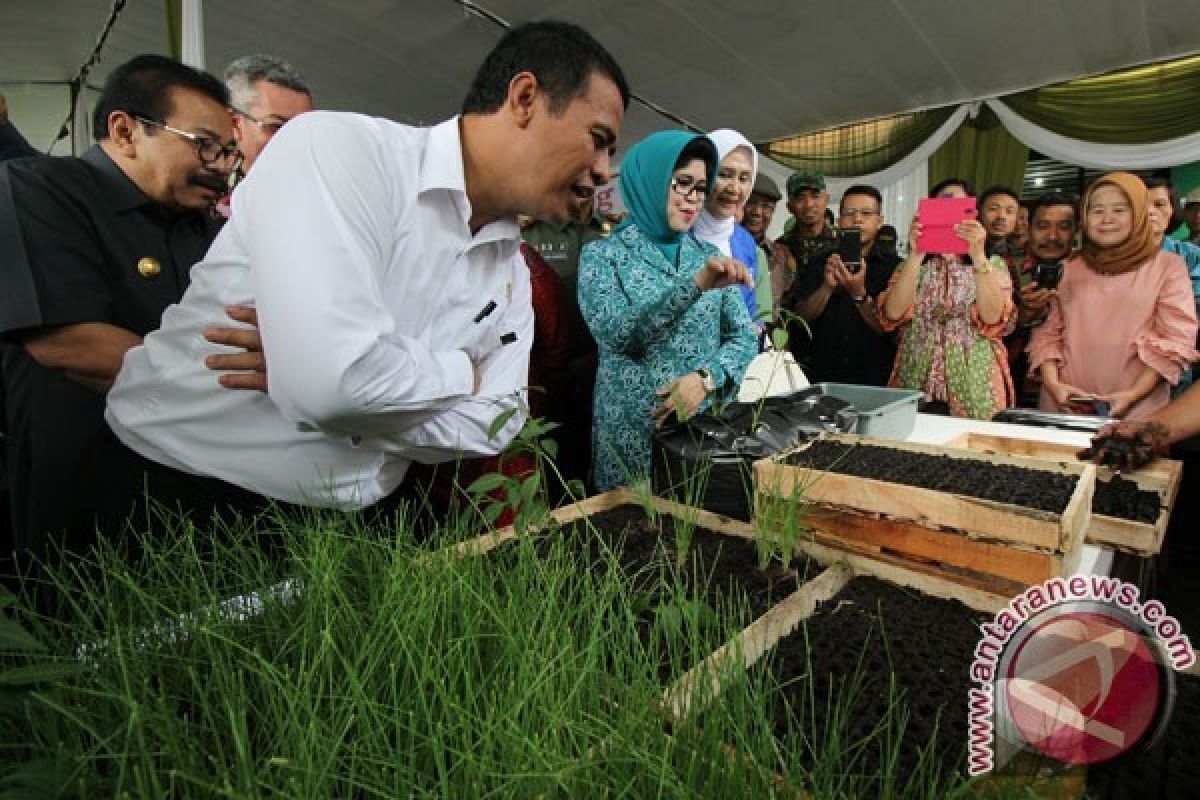 Mentan: Pemuda Indonesia ingin jadi konglomerat,tekuni pertanian