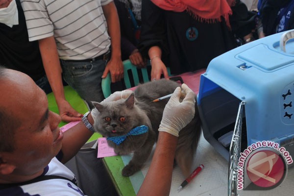 49 warga terkena gigitan hewan penular rabies