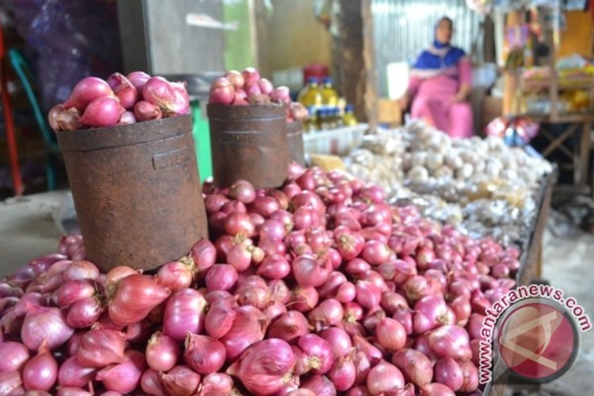 Stok Melimpah Tekan Harga Bawang Merah 