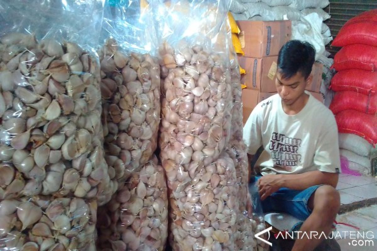 Kementan rekomendasikan impor bawang putih 245.000 ton