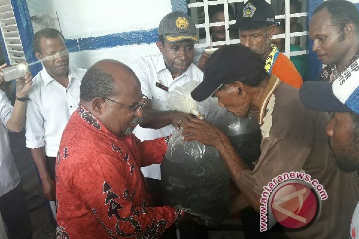 Pemprov Papua dorong pengembangan budi daya ikan salin