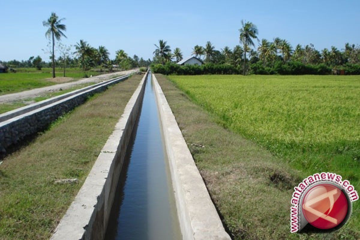 Realization of Agam Agricultural Infrastructure Reached 90 Percent