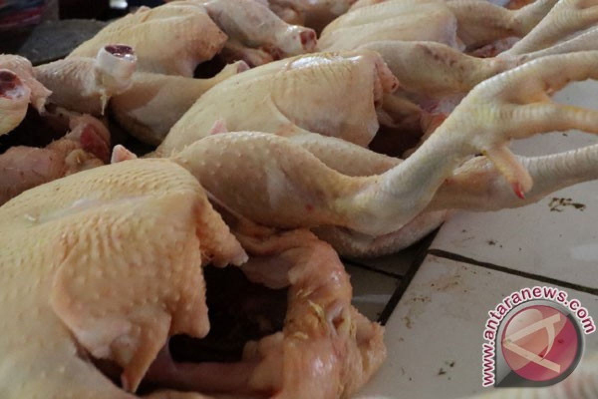 Masyarakat Pangkalpinang keluhkan harga daging ayam mahal