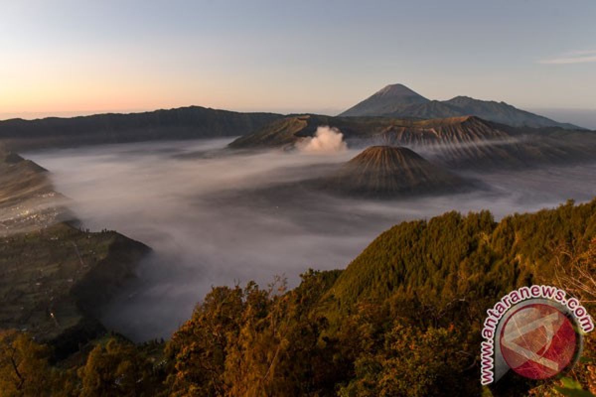 Bangunan peninggalan Belanda alternatif wisata Bromo