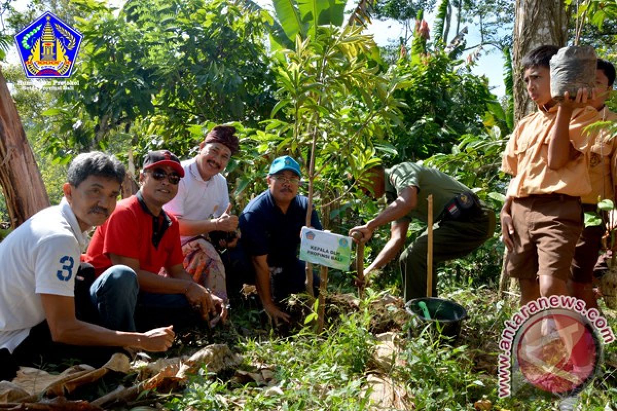 Pemprov Bali Ajak Masyarakat Tanam Pohon