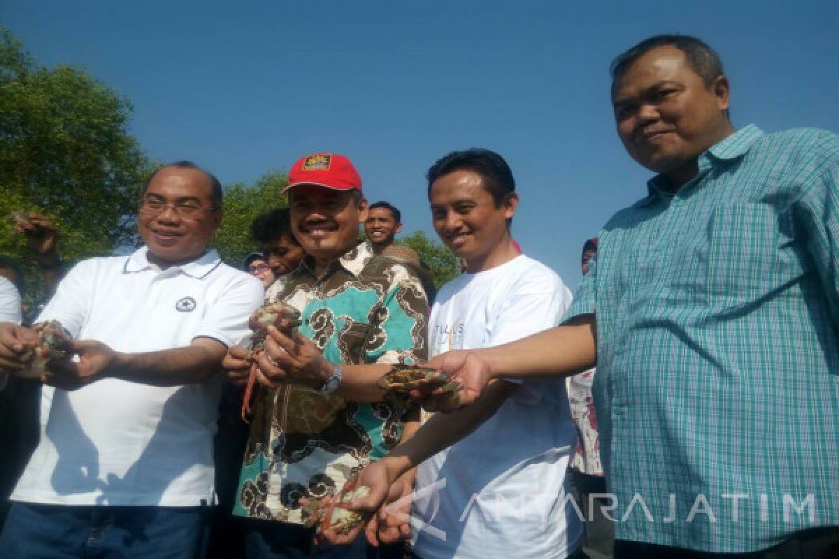 UMS-Pemkot Surabaya Lepas Ratusan Kepiting di Kawasan Mangrove