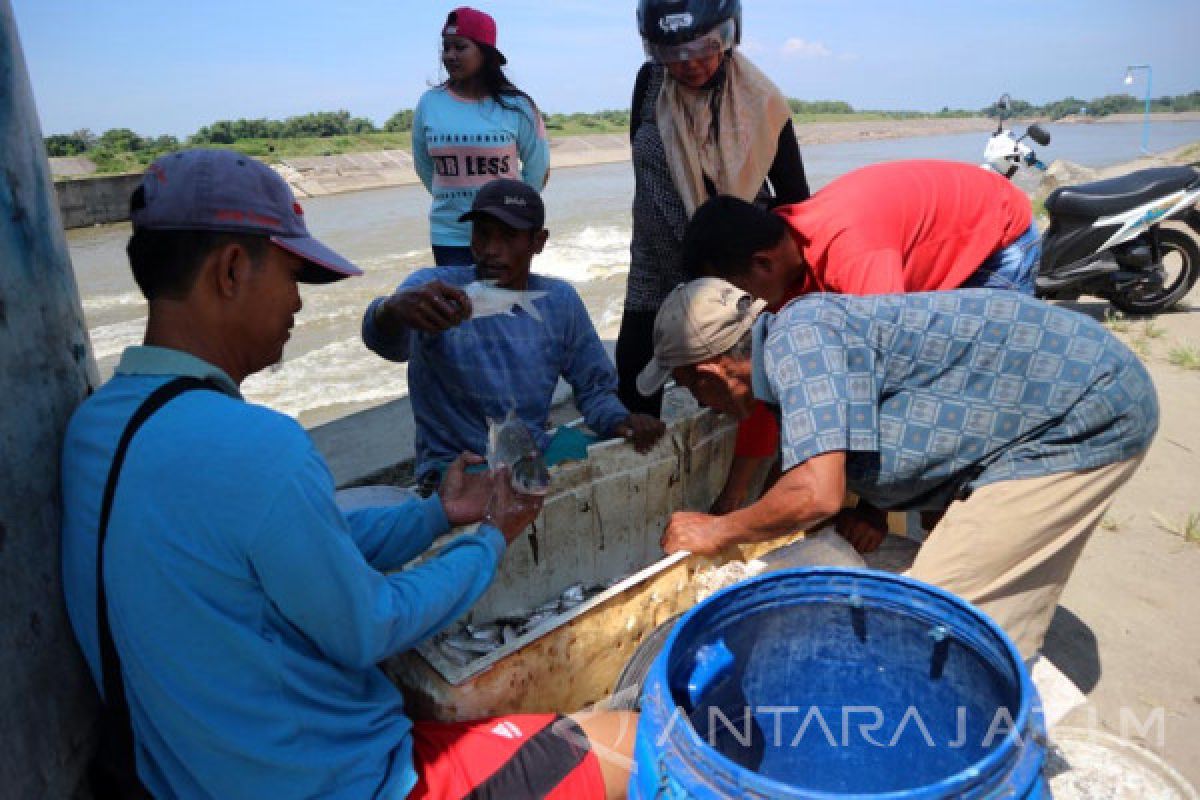 Bendung Gerak Bojonegoro Jadi Ajang Mencari Ikan