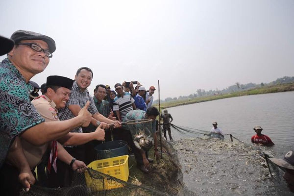 Gubernur Lampung Ridho Ficardo Mencanangkan Sentra Perikanan Air Tawar