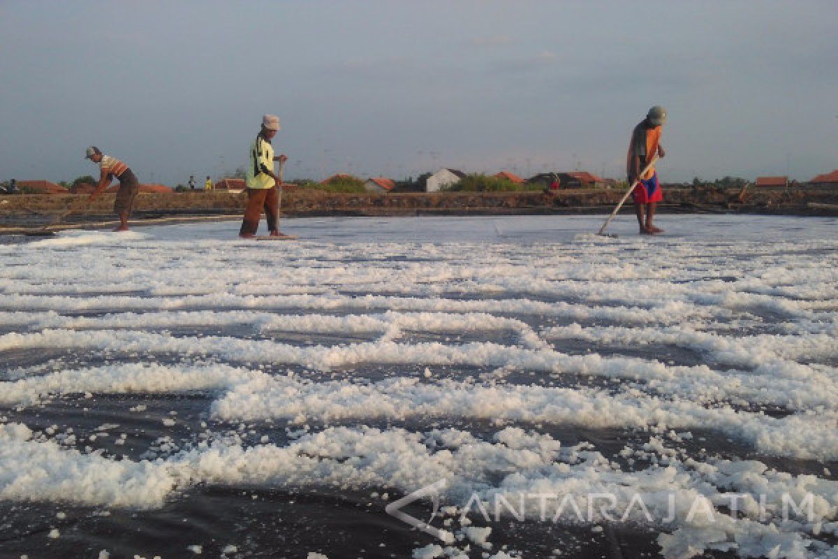 Gubernur Jatim: Krisis Garam Dampak Cuaca Buruk