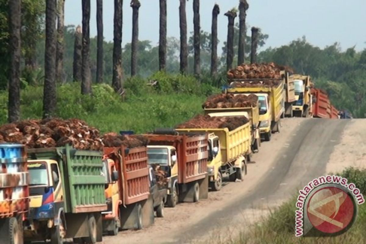 Industri Sawit Kalbar Dalam Koridor Ekonomi Nasional