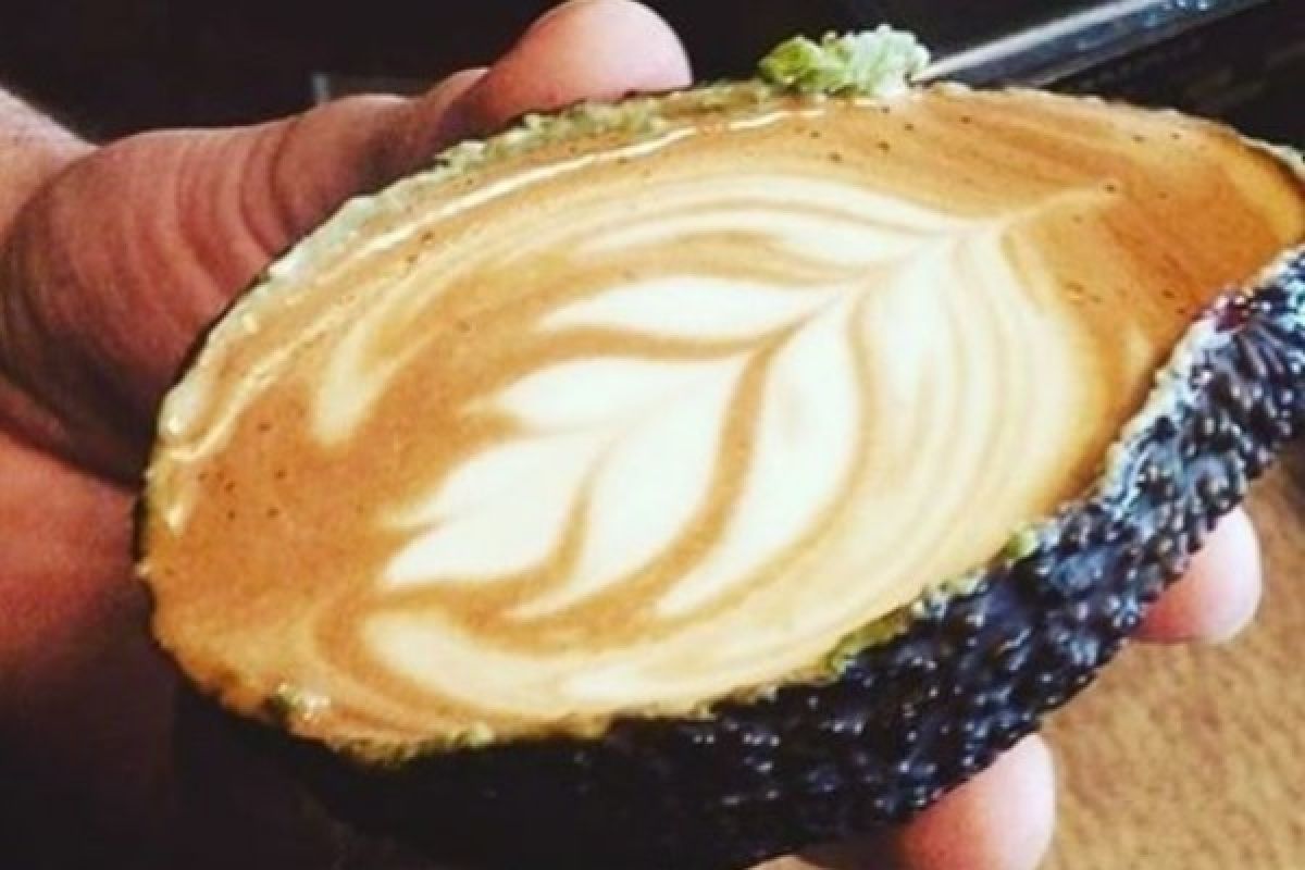 "Avolatte", latte dalam cangkir kulit alpukat