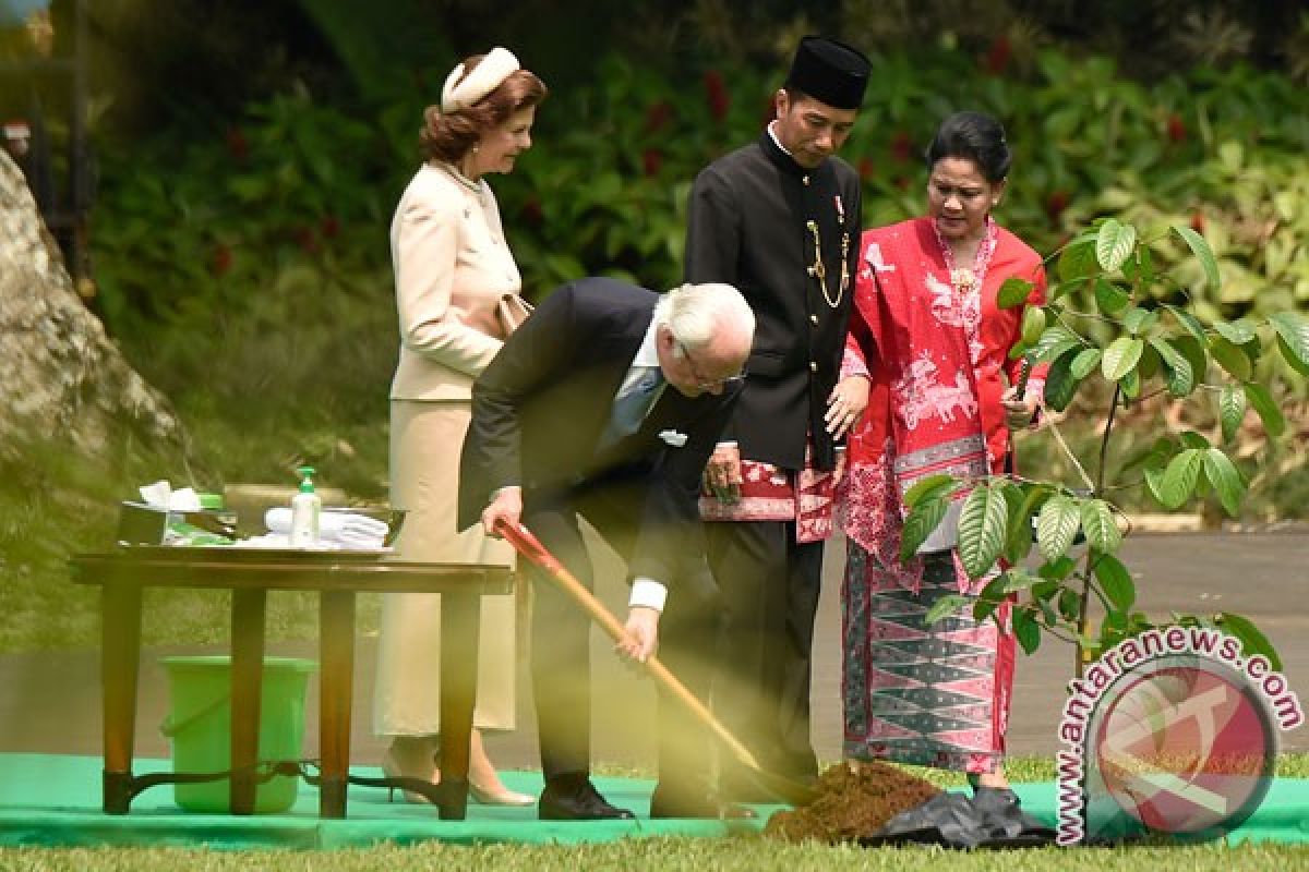 Raja Carl XVI Gustaf tanam pohon kayu besi di Istana Bogor