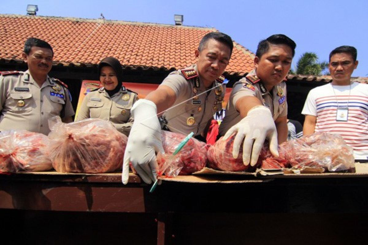 Polisi Gagalkan Pengiriman Dua Ton Daging Celeng 