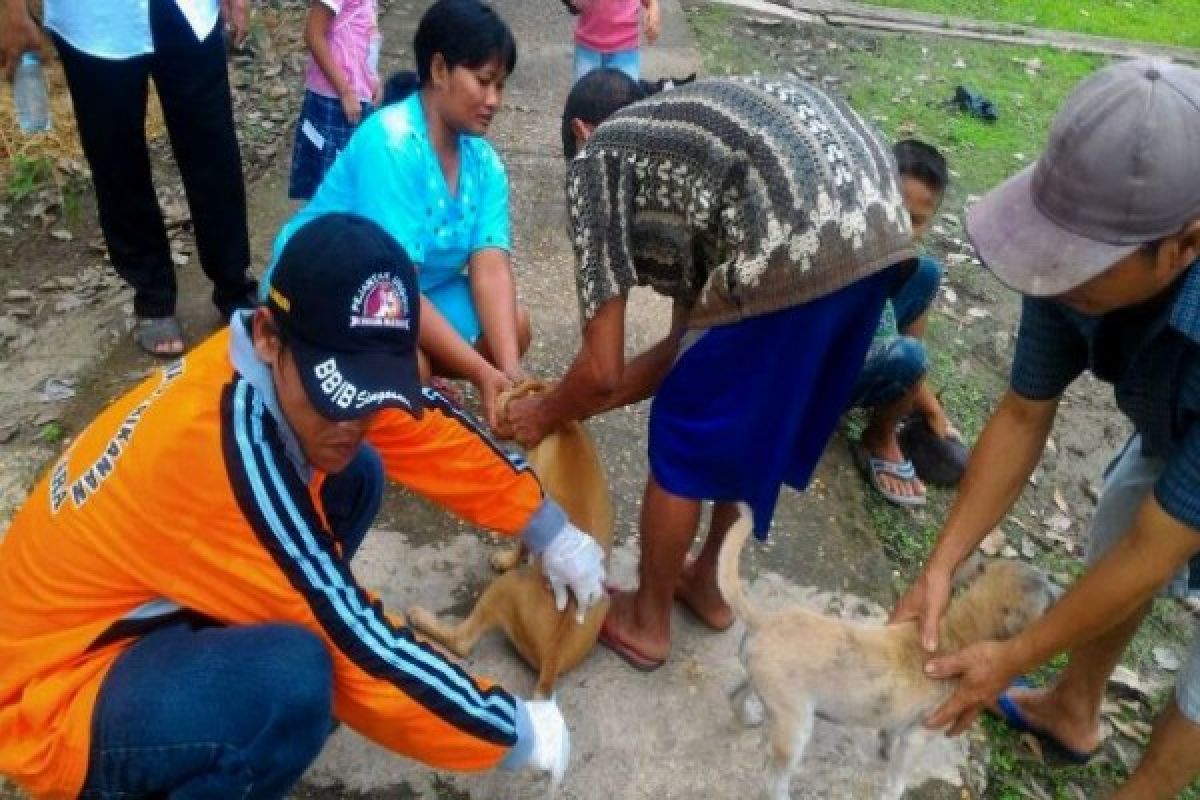 Ratusan Hewan di Barito Utara Divaksinasi Rabies