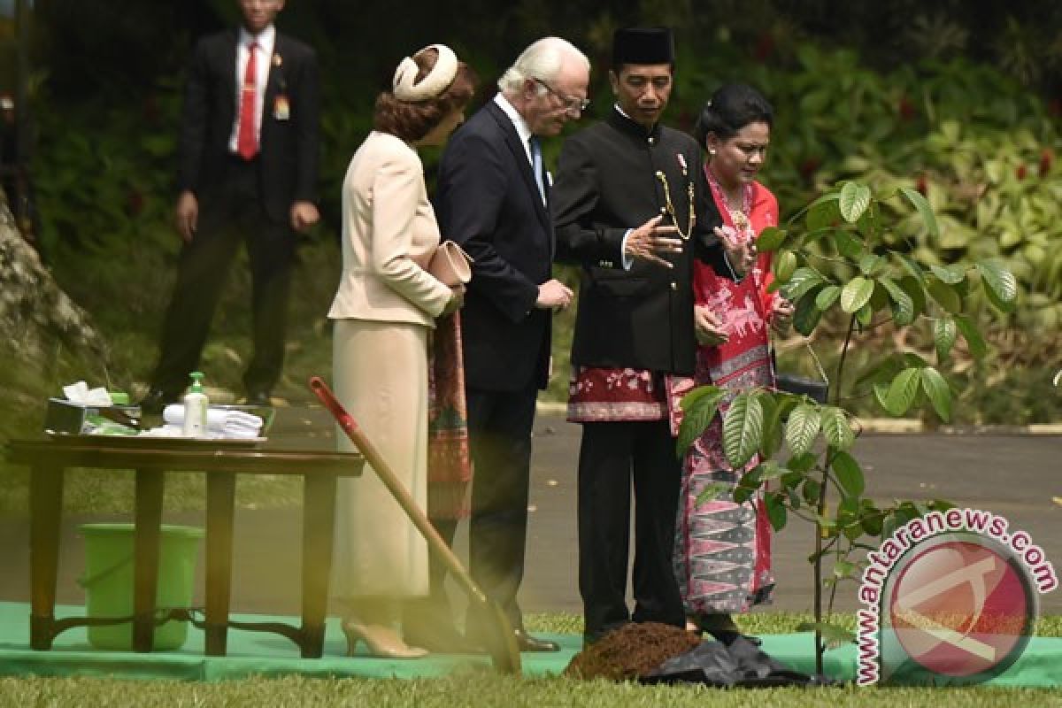 Hari ini Ratu dan Raja Swedia ke Kota Tua, venue disterilkan