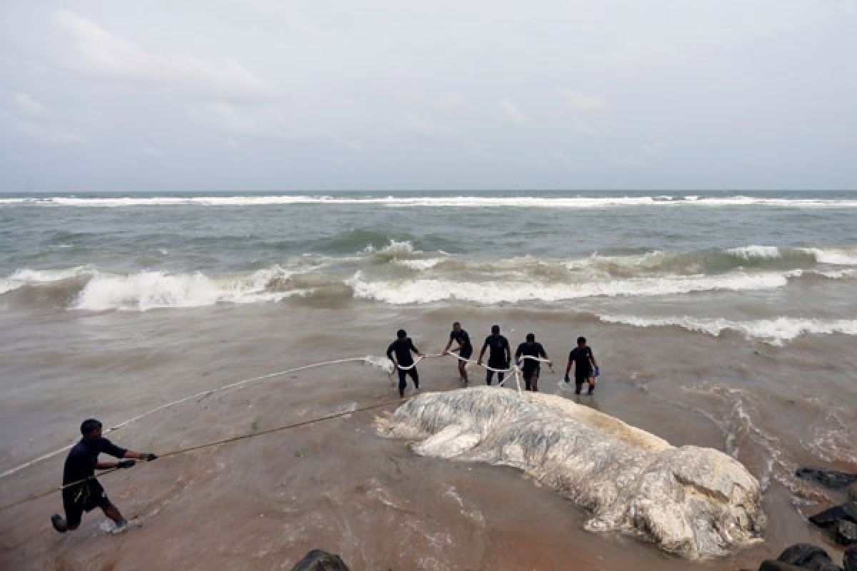 Menlu Sri Lanka mundur terkait tuduhan korupsi