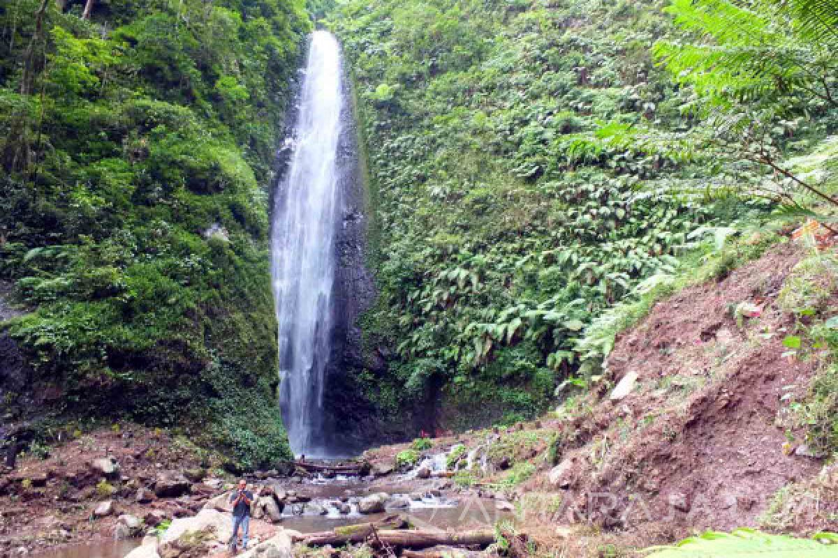 Perhutani Jember Kembangkan 18 Objek Wisata Alam