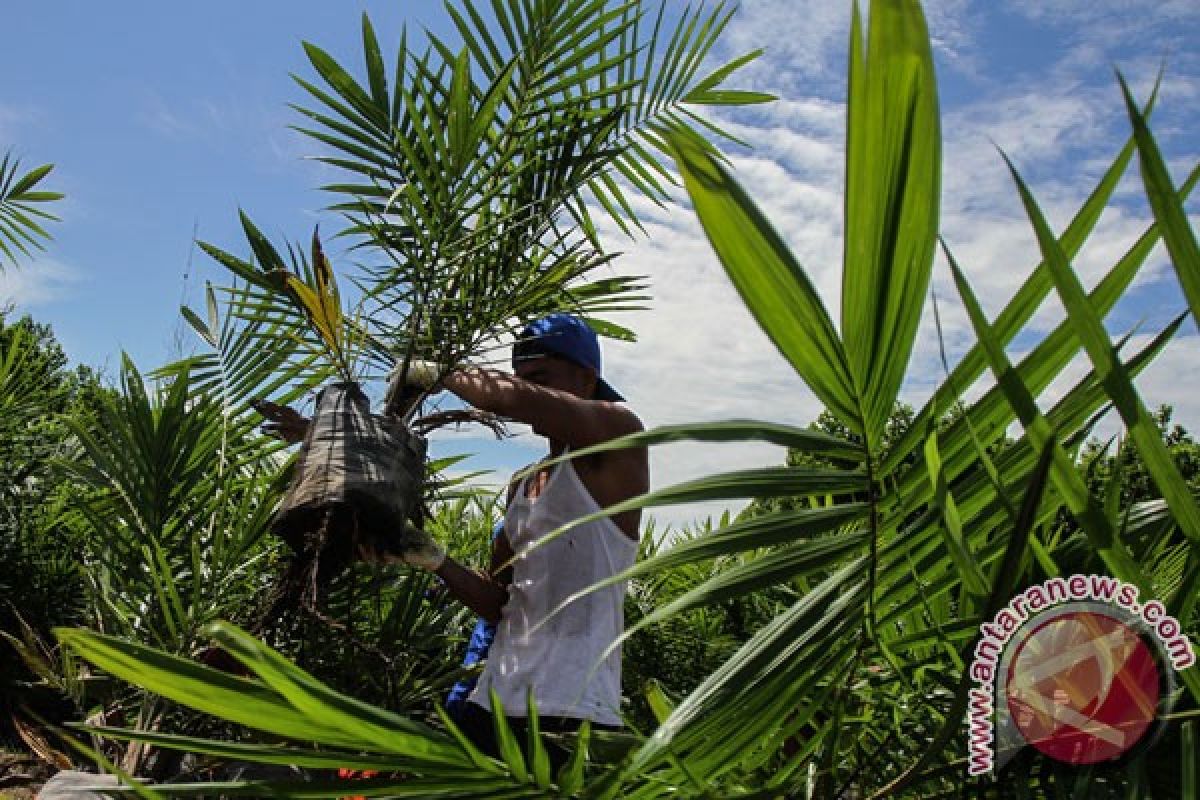 Karolin-Gidot siap bantu permodalan petani sawit