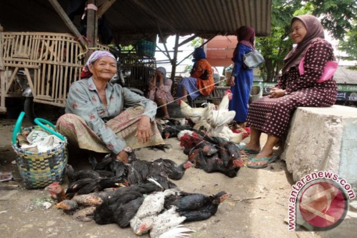 Permintaan Daging Ayam Meningkat Jelang Ramadhan 