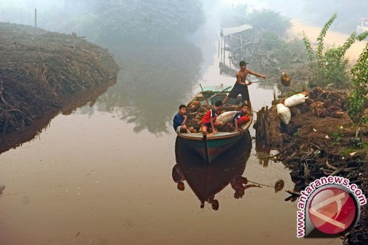 WWF Indonesia siapkan 70 sekat kanal di Jambi