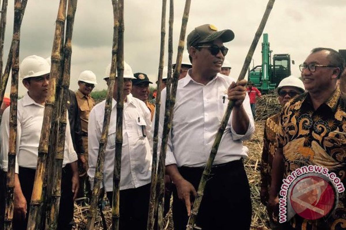 Mentan:  Rawa Masa Depan Kebun Tebu Nasional  