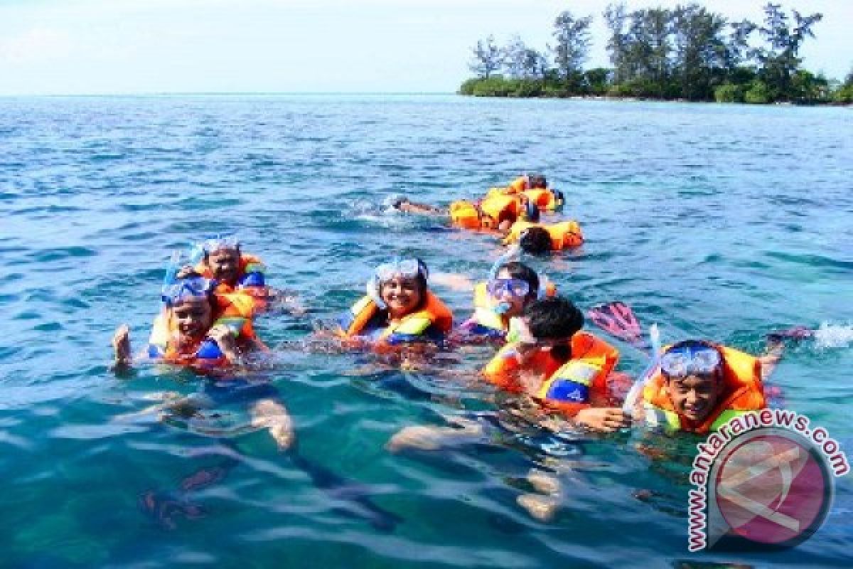 Snorkeling Aktivitas Favorit Wisatawan Di Pulau Tikus