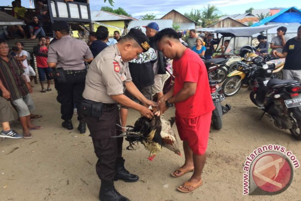 Tim Gabungan Gerebek Judi Sabung Ayam 