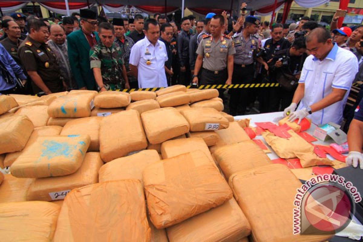 Polres Langkat amankan 549 kilogram ganja