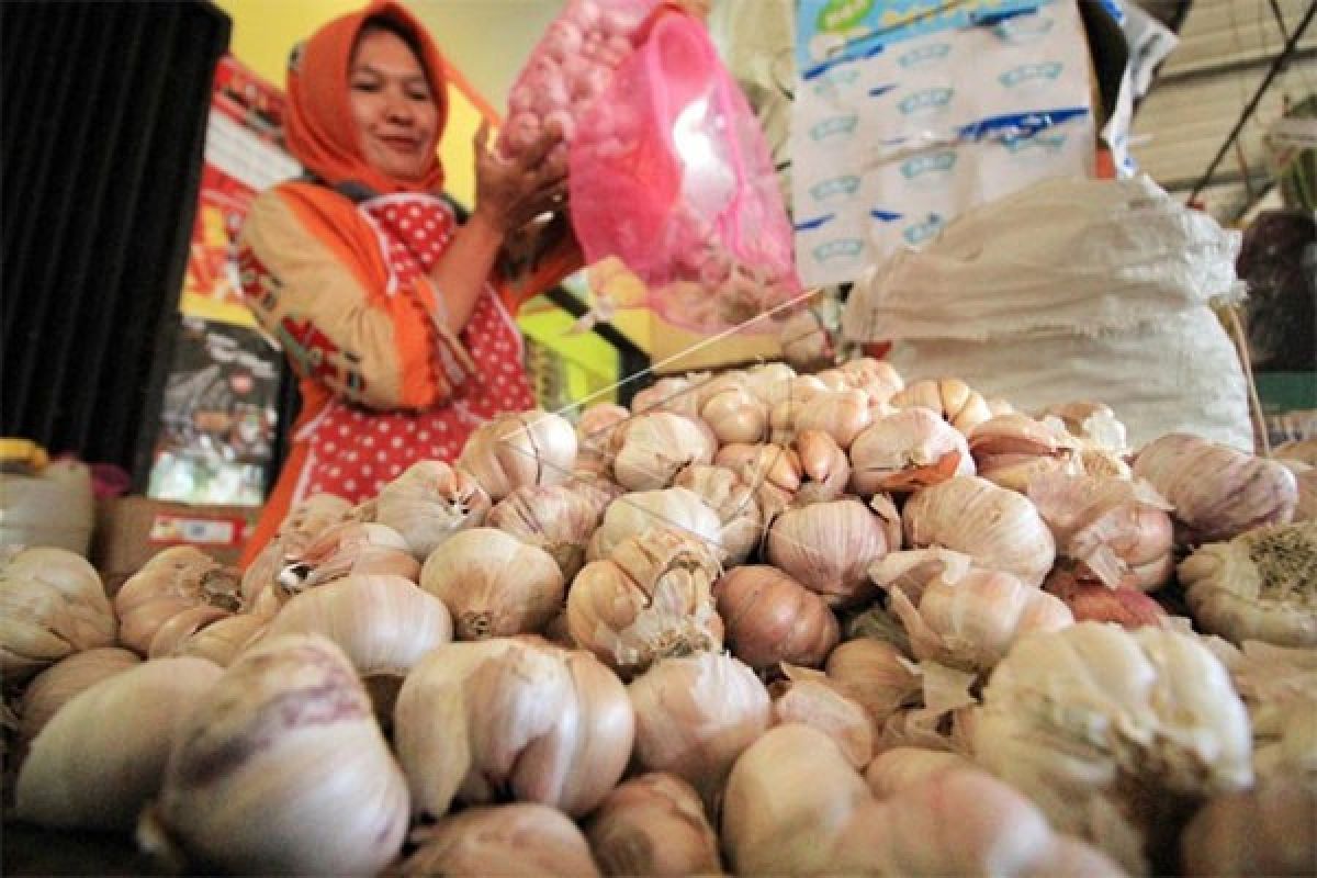 Harga Bawang Putih Di Putussibau Rp100.000/kg