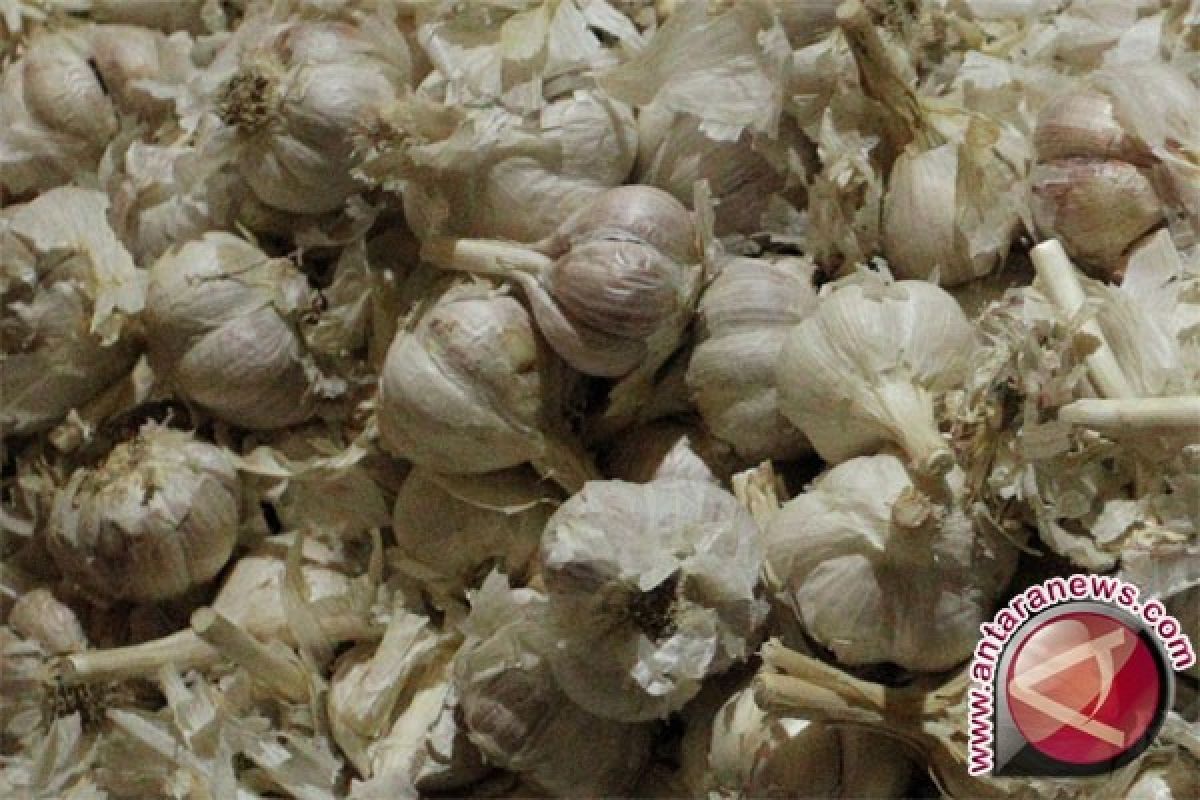 Bulog Sultra miliki stok bawang 50 ton