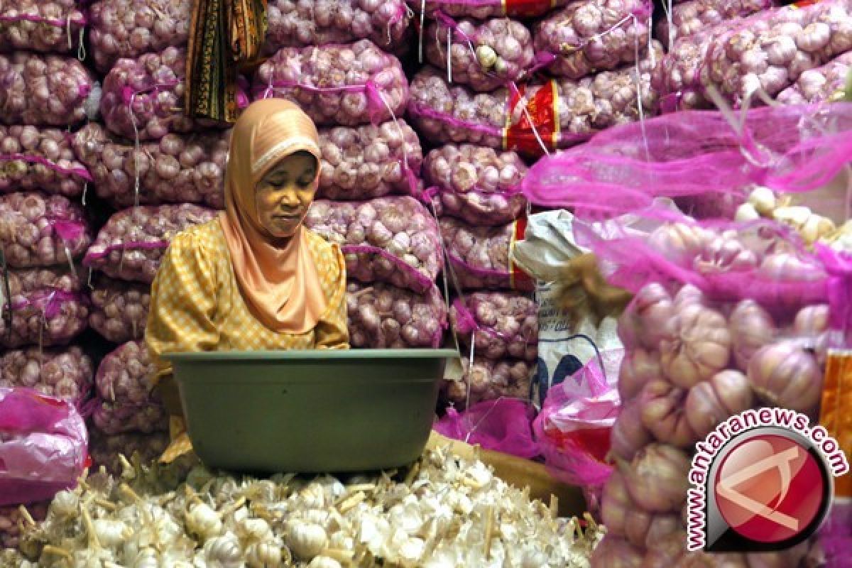 Stok Bawang Putih di Babel 316 Ton