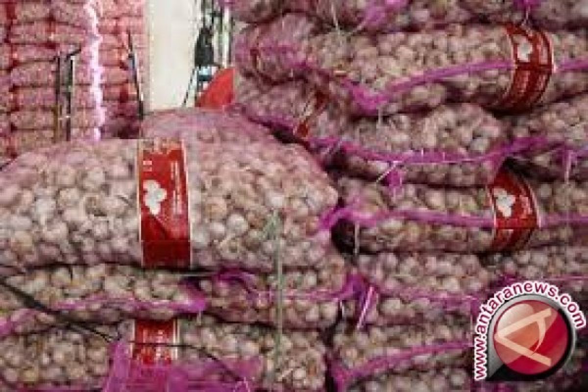 Stok Bawang Putih Impor Babel 345 Ton