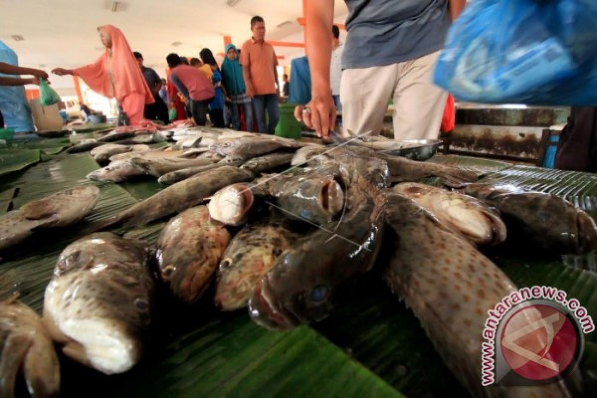 Pasokan ikan ke pasar Meulaboh terganggu cuaca ekstrem