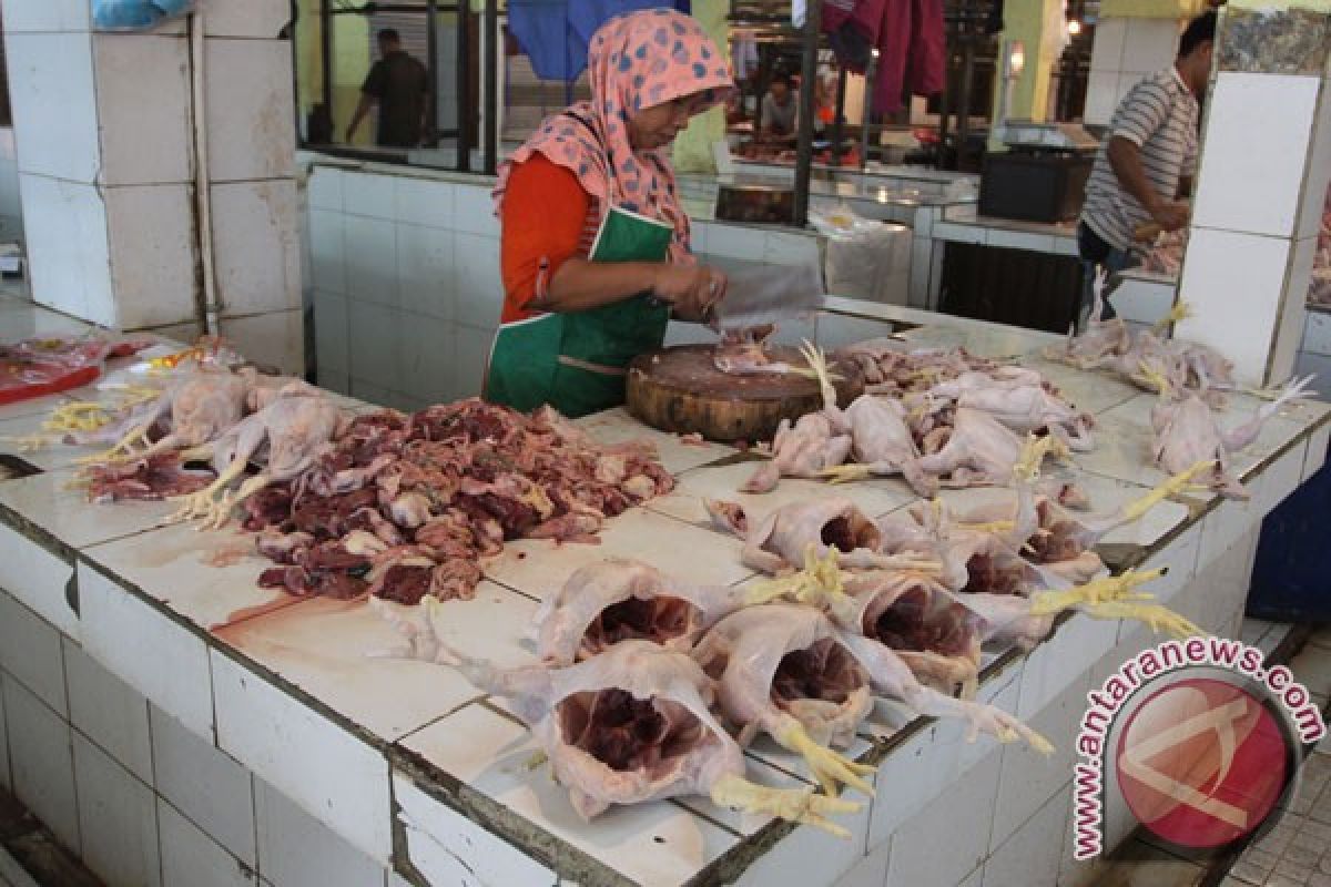 Pedagang daging ayam Cianjur ancam mogok