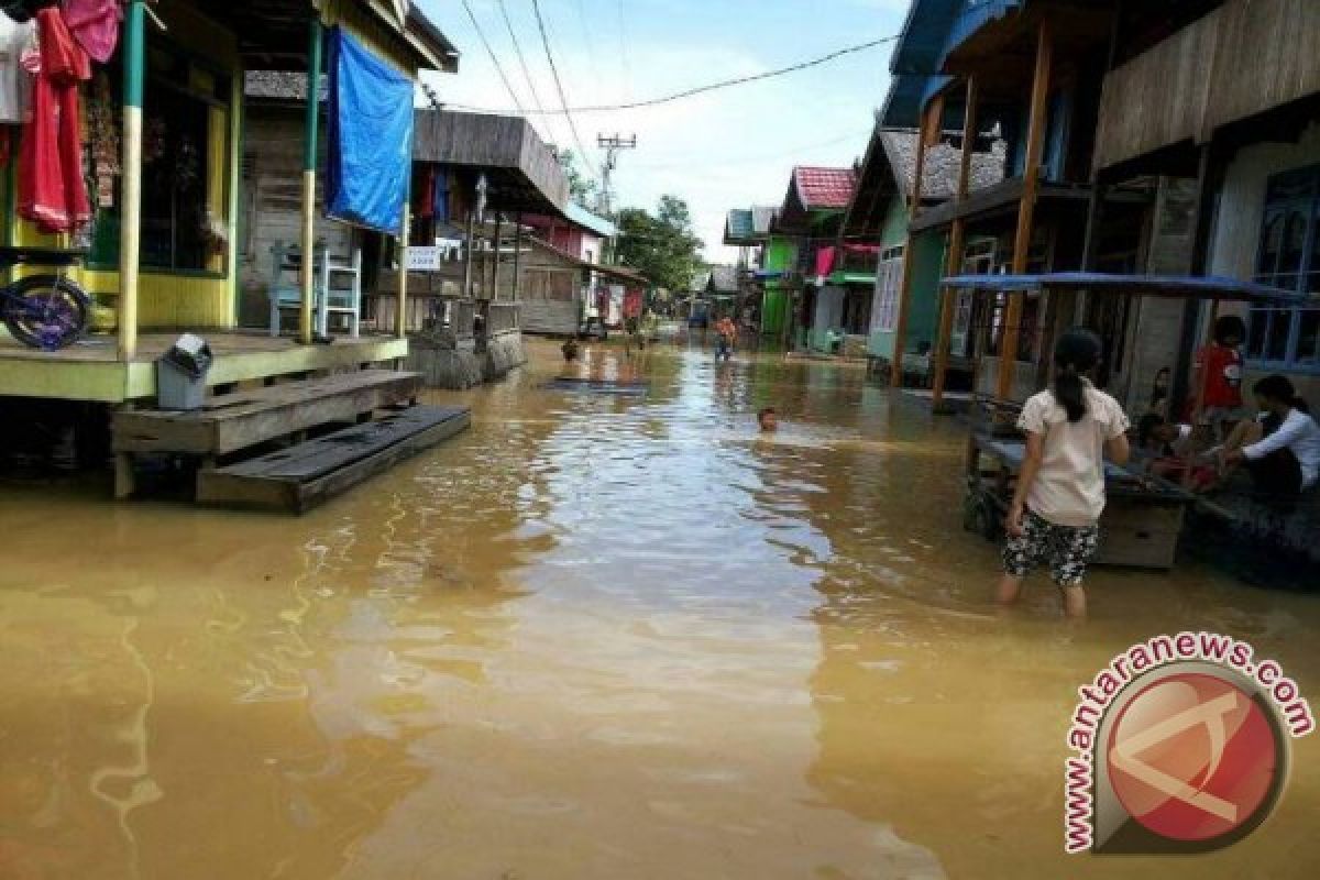 Sungai Barito Meluap, Sejumlah Desa Terendam Banjir