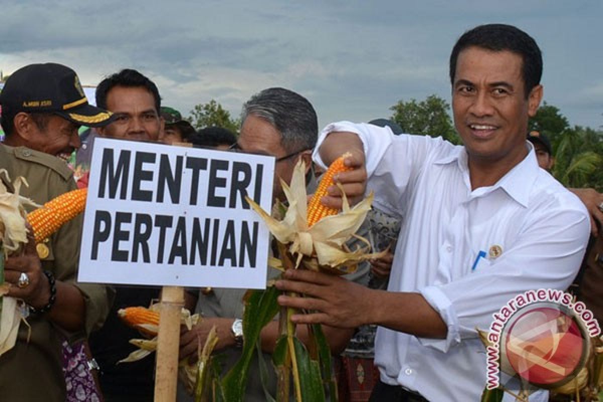 Mentan: Malaysia Mulai Impor Jagung Indonesia