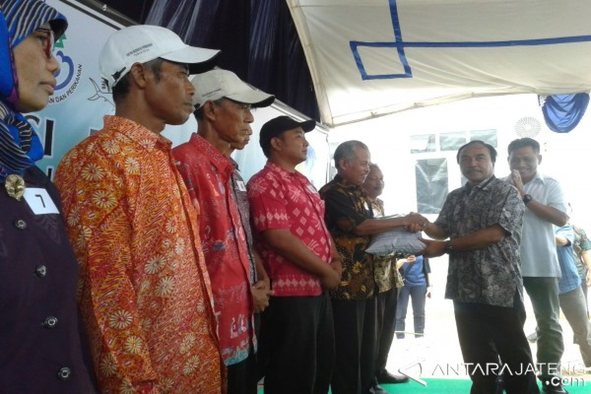 Pakan Ikan Buatan BBPBAP Jepara Diminati Pembudidaya Ikan