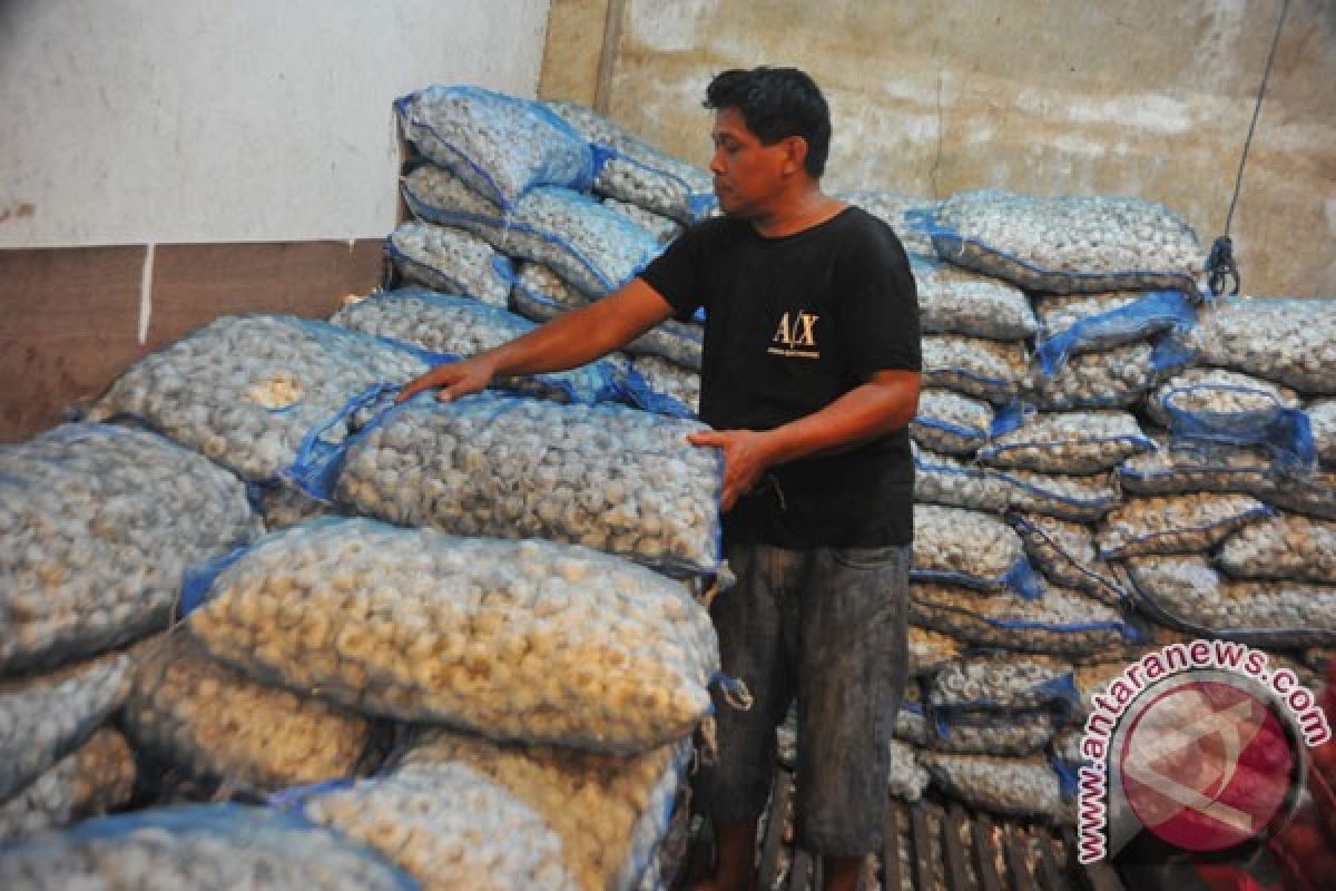 Ditjen Hortikultura canangkan tanam serentak bawang putih