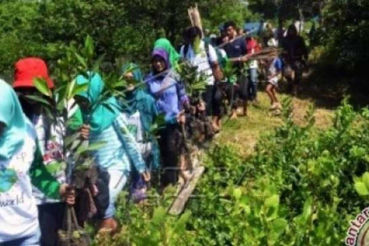 Cegah Abrasi, Diskanlut Riau tanam 14.800 Bibit Mangrove 