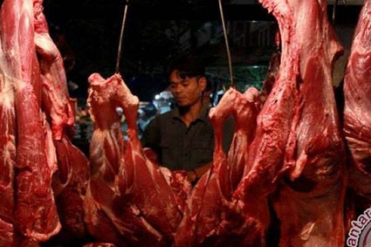 Daging Kerbau Beku Asal India Dipasaran Dengan Harga Rp80.000/Kg