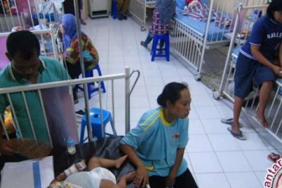 Ada 468 kasus DBD di Pekanbaru, satu meninggal
