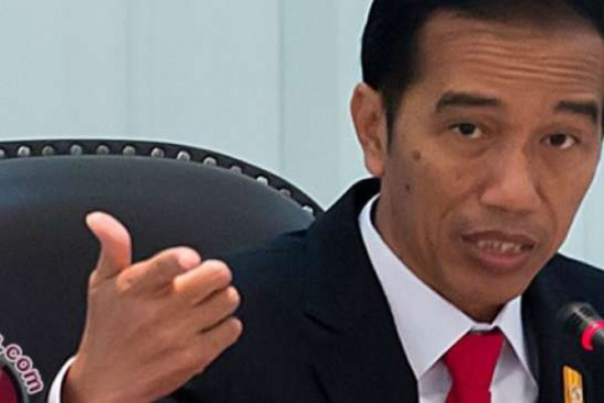 Dinilai Miliki Kekayaan Berlimpah, Jokowi Harapkan Riau Bantu Ekonomi Nasional