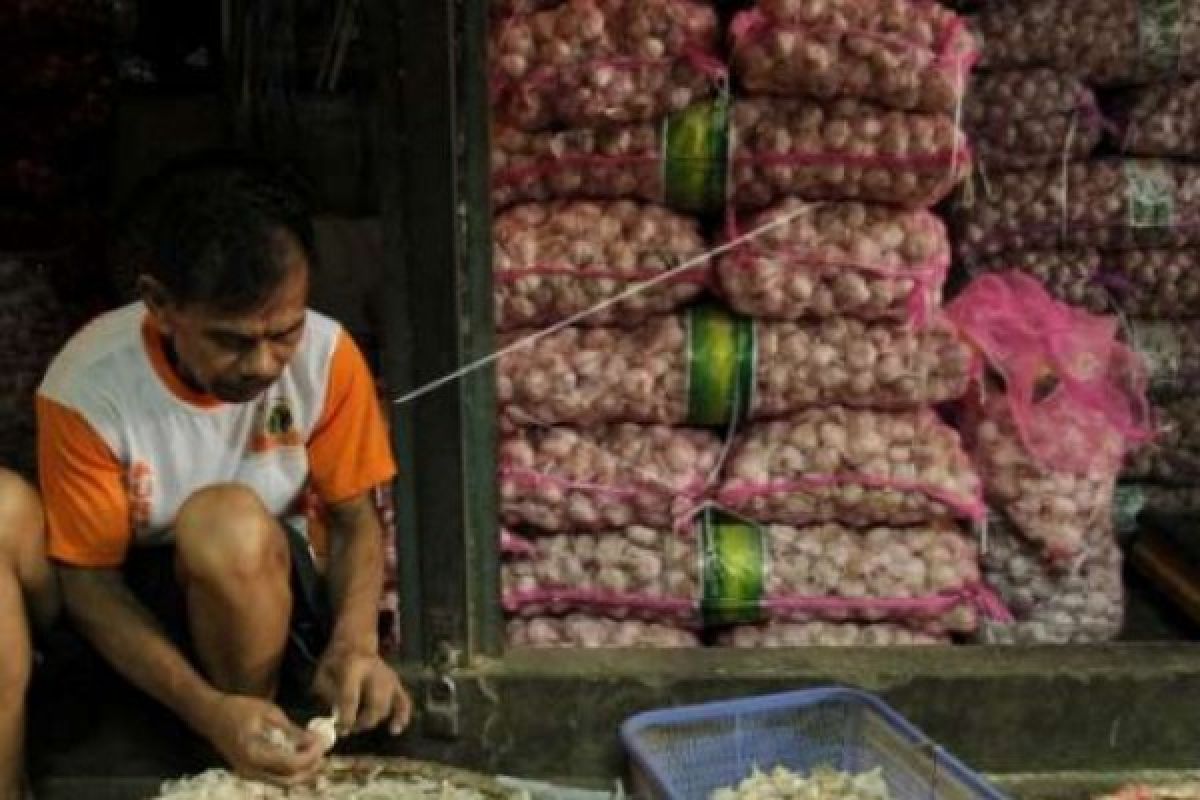 Pemko Pekanbaru Curigai Adanya Penimbunan Bawang Putih Oleh Oknum Tertentu