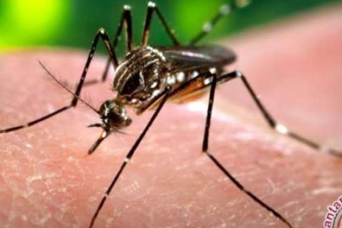 Peneliti Inggris Ujicoba Kemampuan Virus Zika Bunuh Sel Tumor